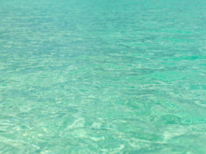 Texture of the emerald green sea surface in Bimini, The Bahamas.
